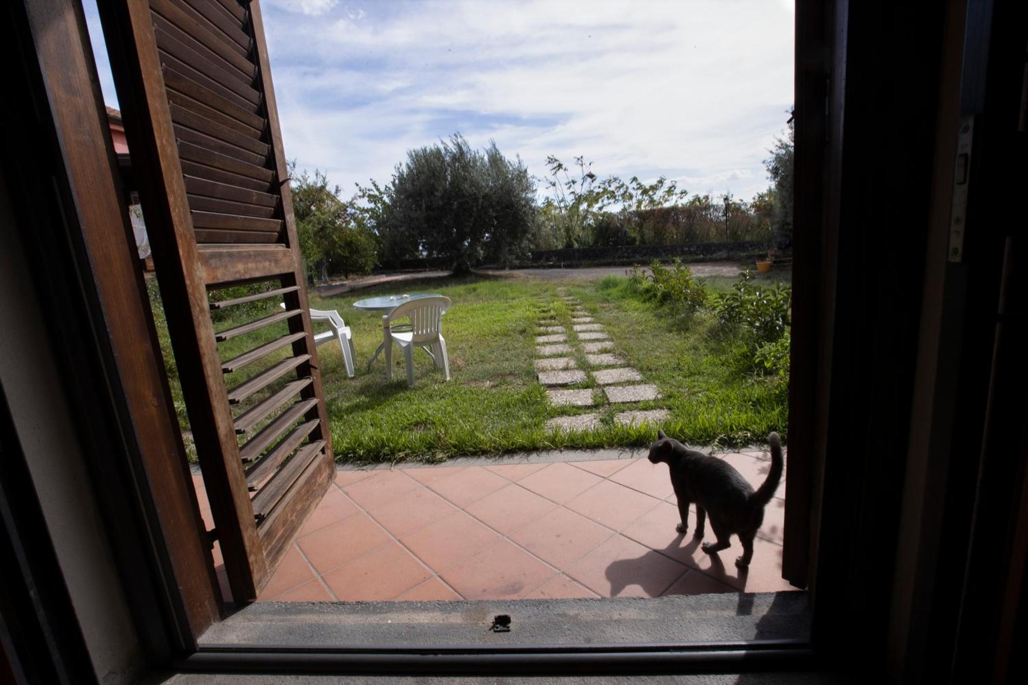 La Circumetnea Home Catania Bagian luar foto