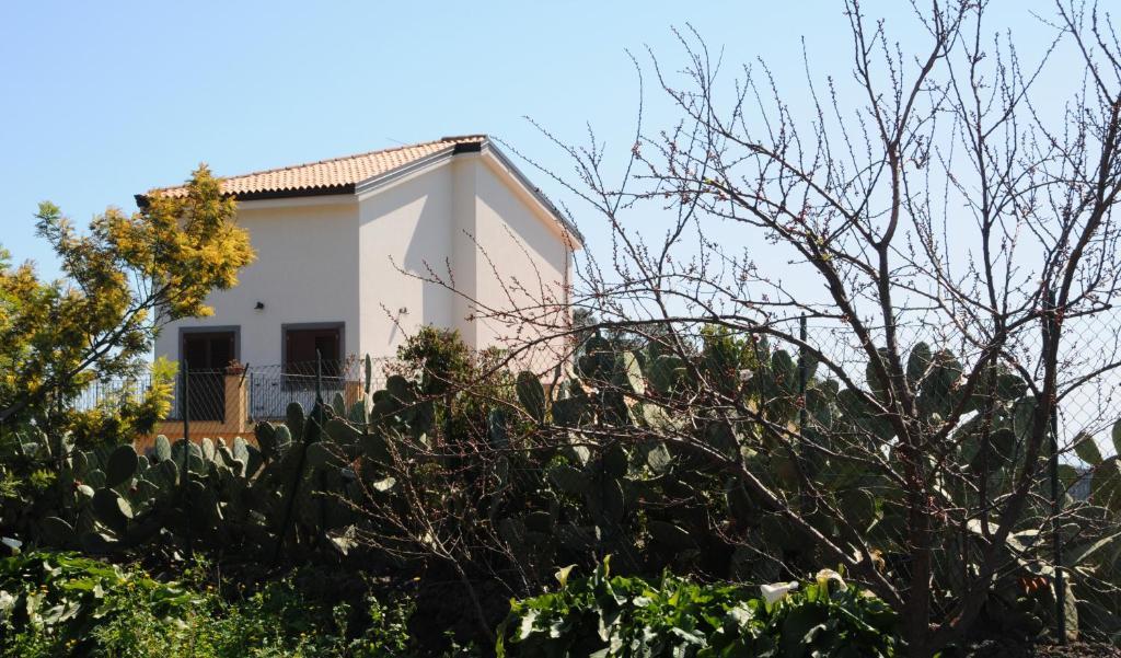 La Circumetnea Home Catania Bagian luar foto